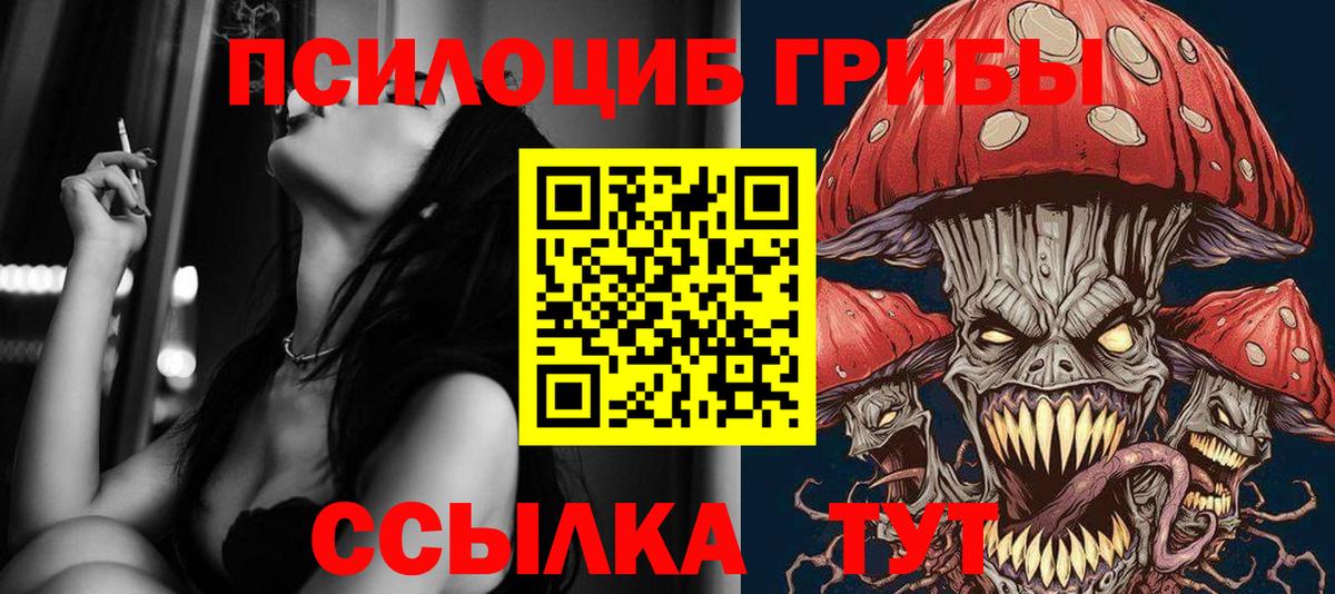 Псилоцибиновые грибы Psilocybine cubensis Ливны